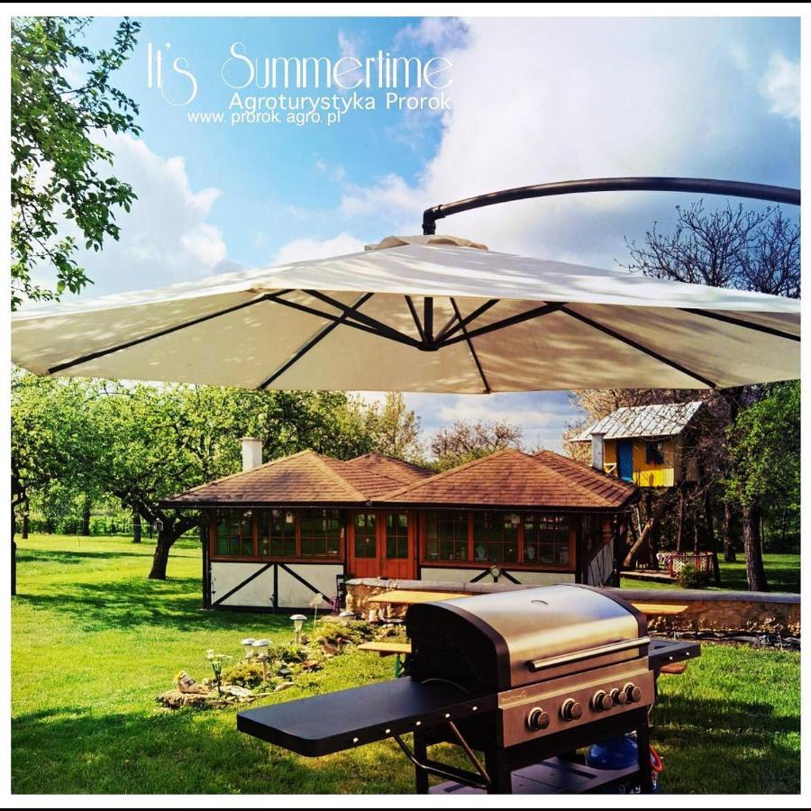 Prorok Agroturystyka Tereszpol ภายนอก รูปภาพ
